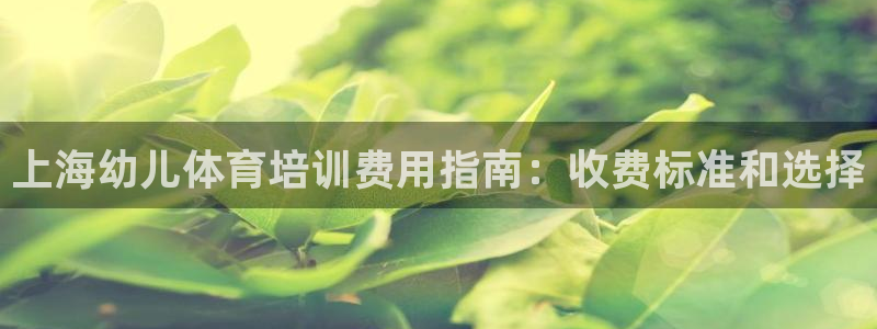 尊龙官方APP下载：上海幼儿体育培训费用指南：收费标