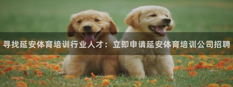 尊龙品牌怎么样：寻找延安体育培训行业人才：立即申请延