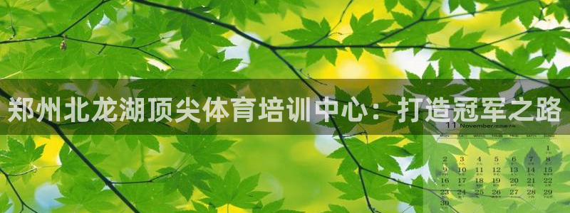 尊龙1003尊龙 - 百度：郑州北龙湖顶尖体育培训中