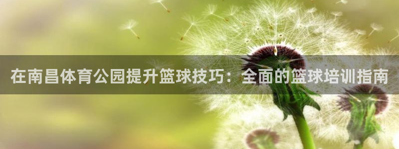 下载凯时AG旗舰厅首页：在南昌体育公园提升篮球技巧：