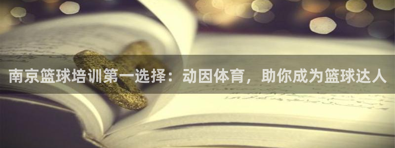 尊龙人生就是博登录网址下载：南京篮球培训第一选择：动