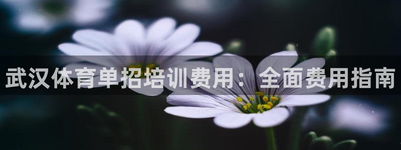 尊龙人生就是博送38：武汉体育单招培训费用：全面费用