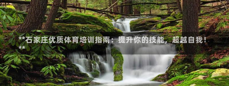 尊龙官网在哪里：**石家庄优质体育培训指南：提升你的