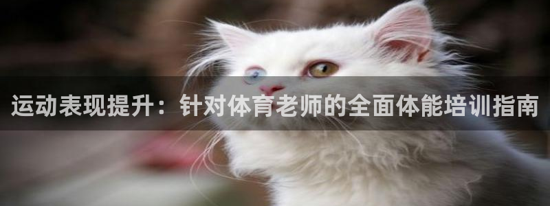 尊龙凯时app安装：运动表现提升：针对体育老师的全面