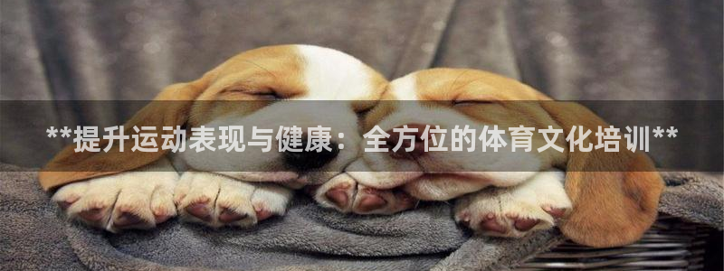尊龙官网注册：**提升运动表现与健康：全方位的体育文