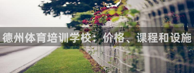 尊龙 6：德州体育培训学校：价格、课程和设施
