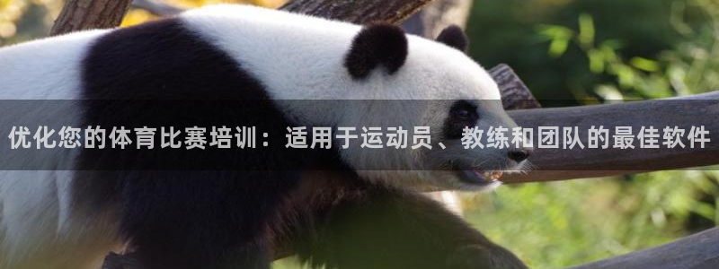 尊龙用现金娱乐一下下载旧：优化您的体育比赛培训：适用
