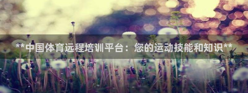尊龙公司：**中国体育远程培训平台：您的运动技能和知