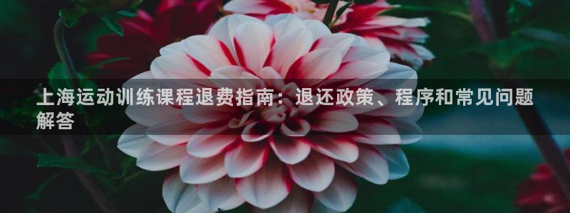 尊龙百度百科：上海运动训练课程退费指南：退还政策、程
