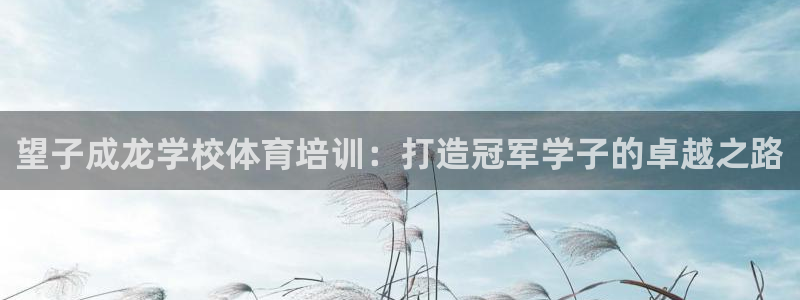 尊龙凯时下载官方正版：望子成龙学校体育培训：打造冠军
