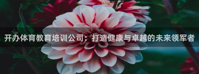 d88尊龙官网登录免费下载：开办体育教育培训公司：打