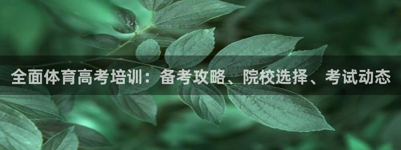 尊龙旗舰app：全面体育高考培训：备考攻略、院校选择
