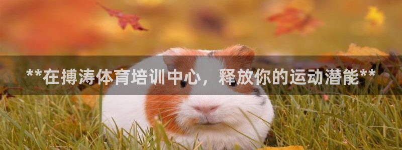凯时a88：**在搏涛体育培训中心，释放你的运动潜能