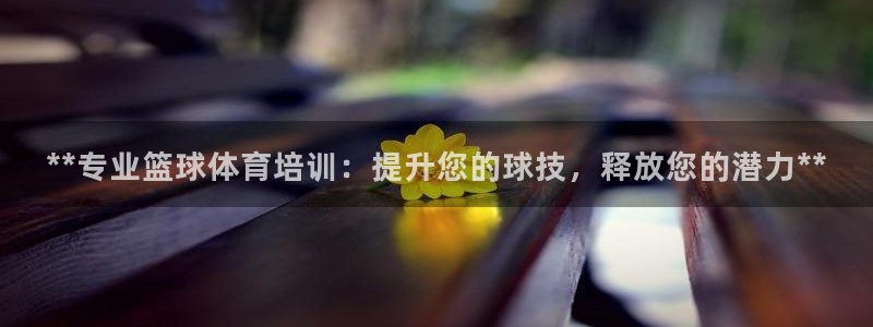 尊龙ktv怎么样：**专业篮球体育培训：提升您的球技
