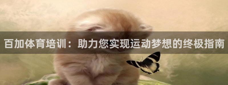 kb88凯时唯一官网注册：百加体育培训：助力您实现运