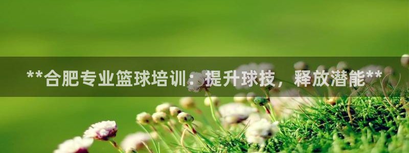 尊龙专访：**合肥专业篮球培训：提升球技，释放潜能*