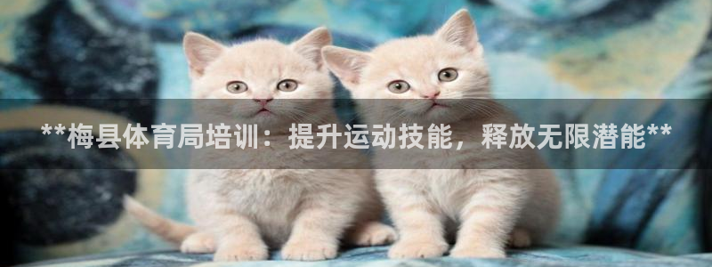 凯时国际app首页登录入口：**梅县体育局培训：提升