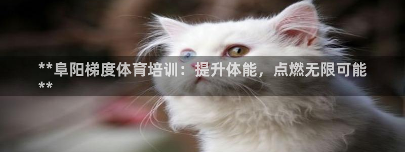 凯时官网下载客户端：**阜阳梯度体育培训：提升体能，