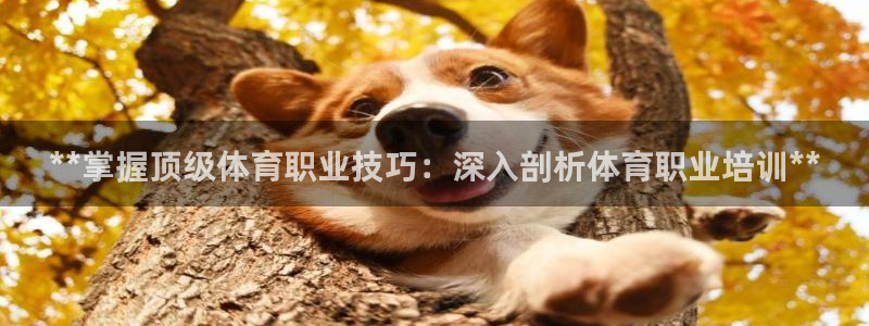 z6尊龙凯时集团：**掌握顶级体育职业技巧：深入剖析