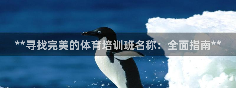 尊龙人生就是博手机版下载：**寻找完美的体育培训班名