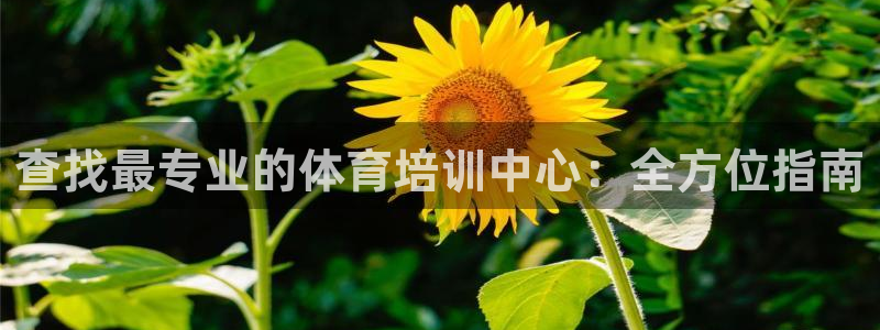 尊龙人生就是搏：查找最专业的体育培训中心：全方位指南
