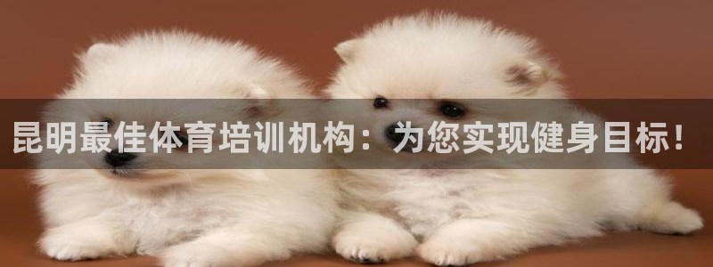 尊龙凯时d3563：昆明最佳体育培训机构：为您实现健