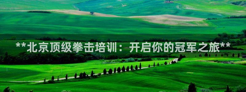 尊龙凯时几百万怎么下款：**北京顶级拳击培训：开启你