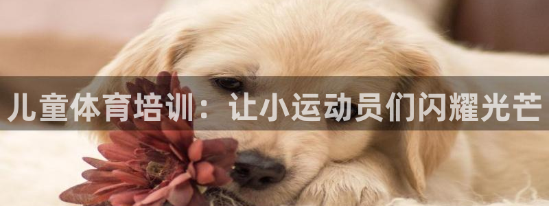 d88尊龙官网手机app：儿童体育培训：让小运动员们