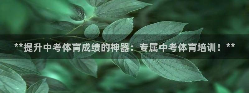 尊龙人生就是博旧版：**提升中考体育成绩的神器：专属