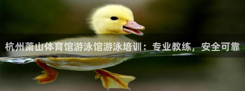 尊龙凯时贴吧：杭州萧山体育馆游泳馆游泳培训：专业教练
