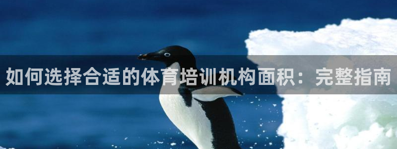 d88尊龙官方网：如何选择合适的体育培训机构面积：完