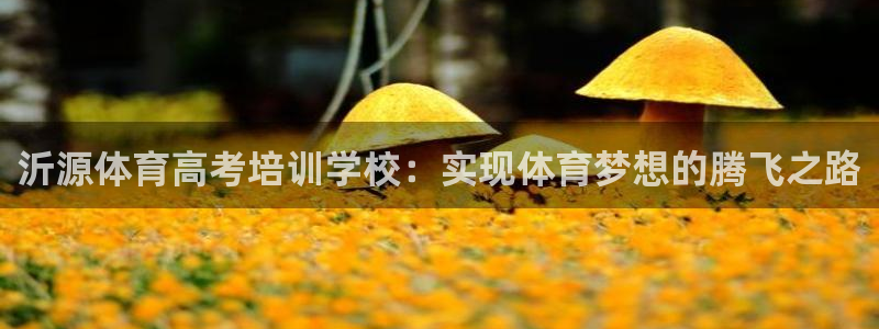 d88尊龙凯时：沂源体育高考培训学校：实现体育梦想的