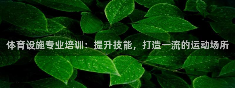 尊龙 5：体育设施专业培训：提升技能，打造一流的运动