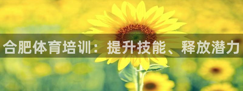 尊龙凯时登入首页：合肥体育培训：提升技能、释放潜力