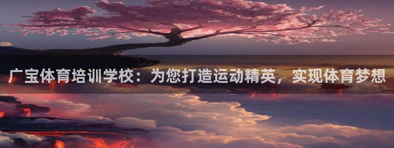 尊龙凯时人生就是博·(中国)官网：广宝体育培训学校：