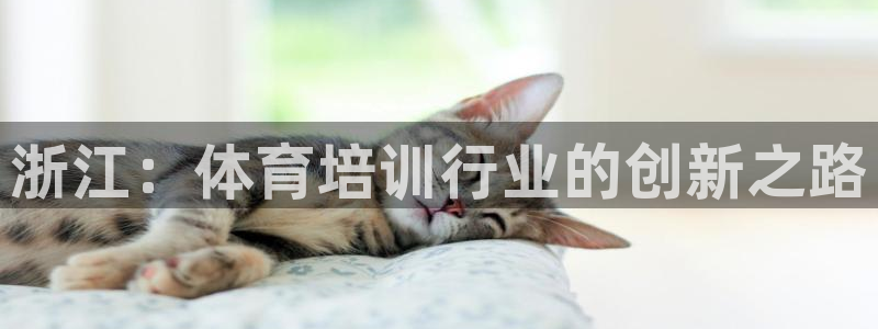 尊龙人生就是博d88官方网站：浙江：体育培训行业的创
