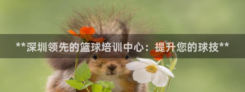 尊龙凯时人生就是博·(中国)官网最新：**深圳领先的