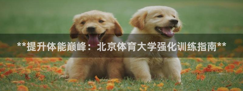 尊龙AG发财网：**提升体能巅峰：北京体育大学强化训