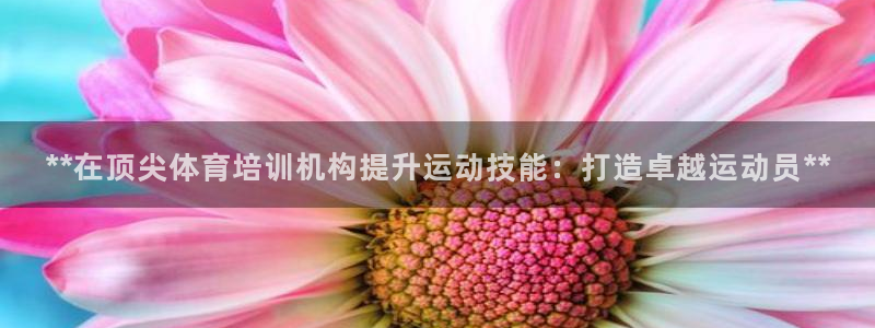 尊龙官方平台：**在顶尖体育培训机构提升运动技能：打