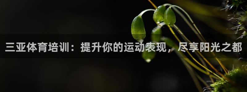 尊龙人生就是-首页(中国)有限公司：三亚体育培训：提