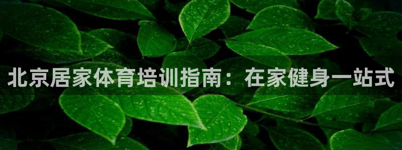 尊龙手机客户端下载APP：北京居家体育培训指南：在家
