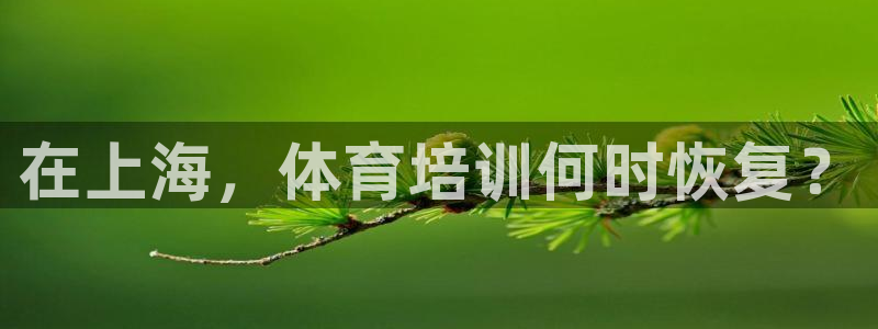 尊龙人生就是博网站：在上海，体育培训何时恢复？