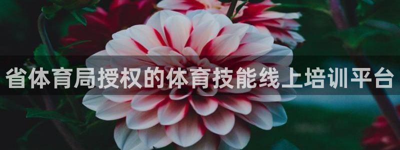 尊龙凯时网站是什么地方人开的：省体育局授权的体育技能