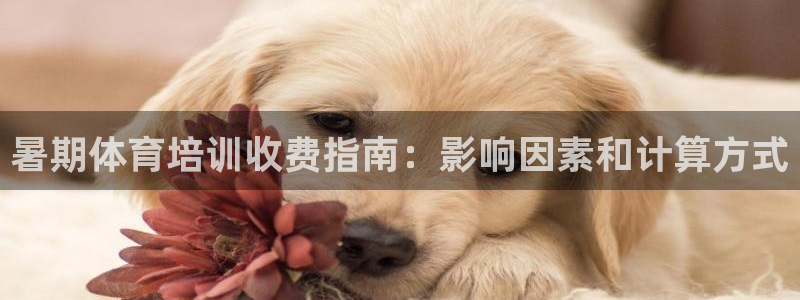 尊龙王t400：暑期体育培训收费指南：影响因素和计算