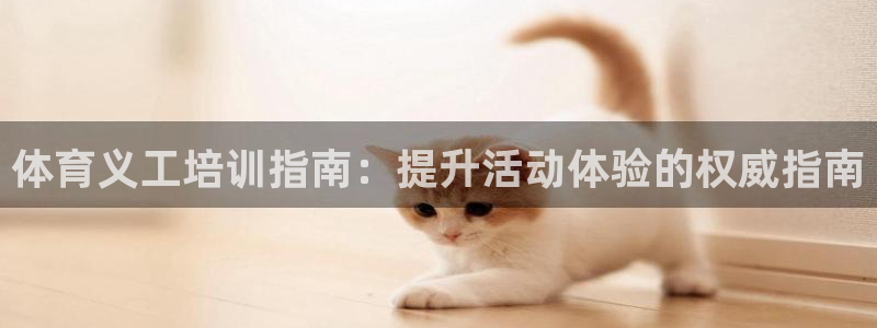 尊龙凯时人生就是博·(中国)：体育义工培训指南：提升