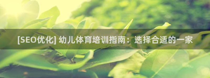 尊龙注册码：[SEO优化] 幼儿体育培训指南：选择合适的一家
