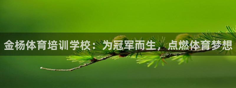 尊龙凯时ag旗舰厅官网客服：金杨体育培训学校：为冠军