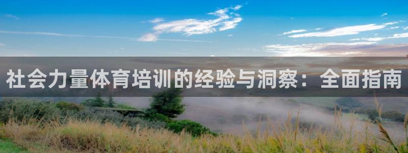凯时登录平台去AG发财网：社会力量体育培训的经验与洞