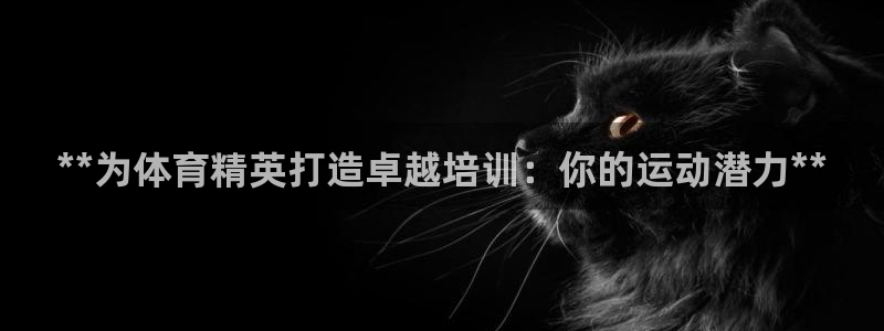 尊龙负面新闻：**为体育精英打造卓越培训：你的运动潜