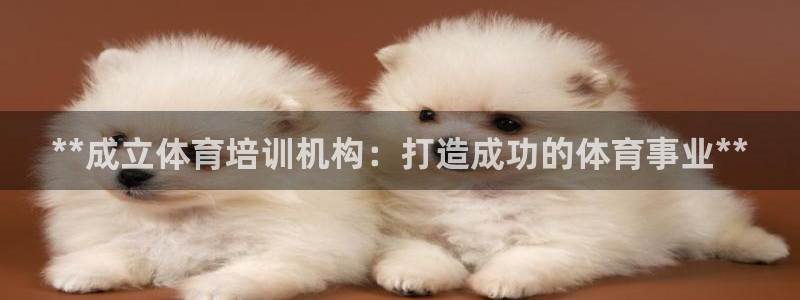 尊龙凯时官网网页版：**成立体育培训机构：打造成功的体育事业